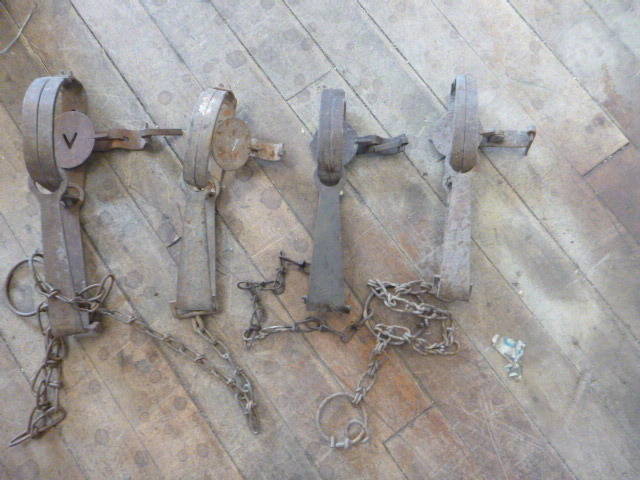 4 Animal Hunting Traps