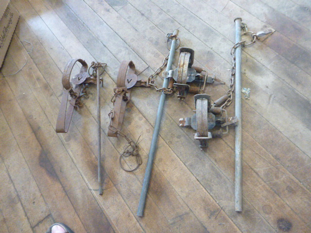4 Animal Hunting Traps