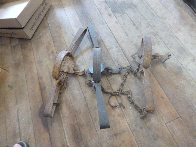 3 Animal Hunting Traps