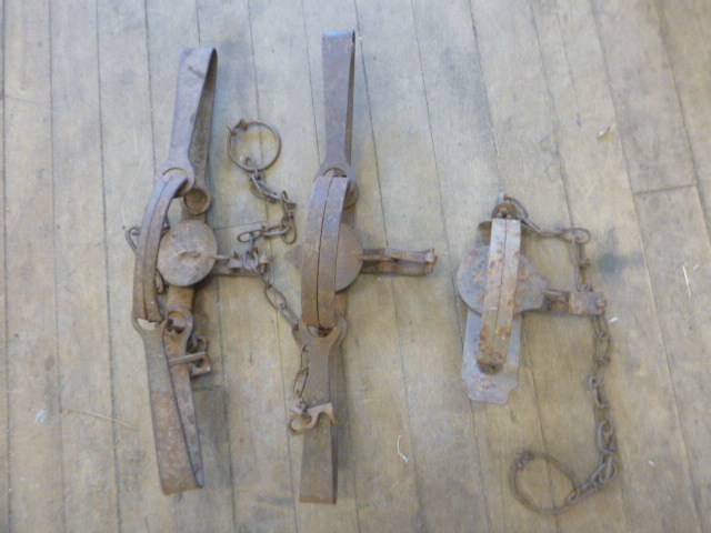 3 Animal Hunting Traps
