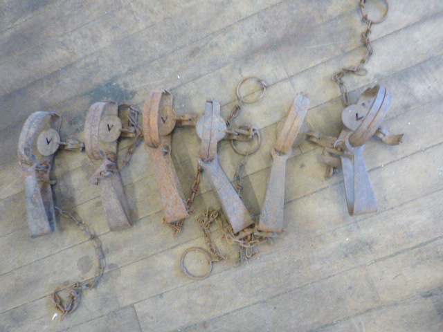 6 Animal Hunting Traps