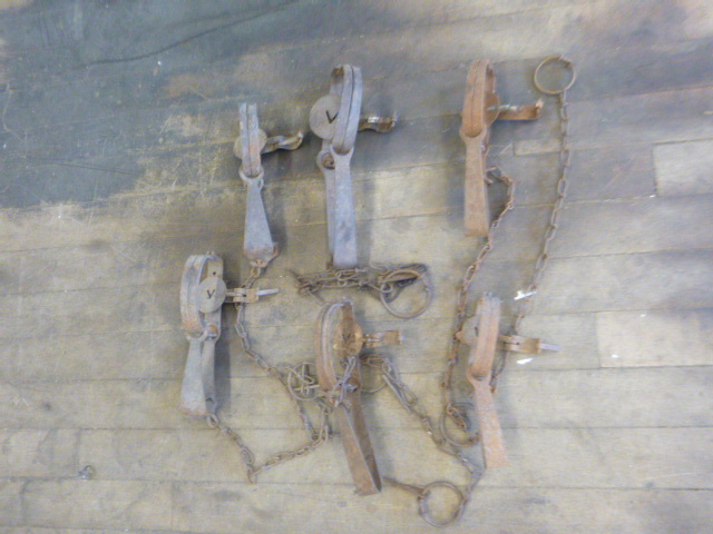 6 Animal Hunting Traps