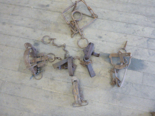 6 Animal Hunting Traps