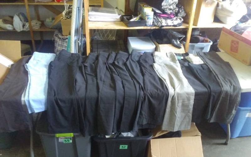 Dress Pants & Crops (Sz. 0-4)