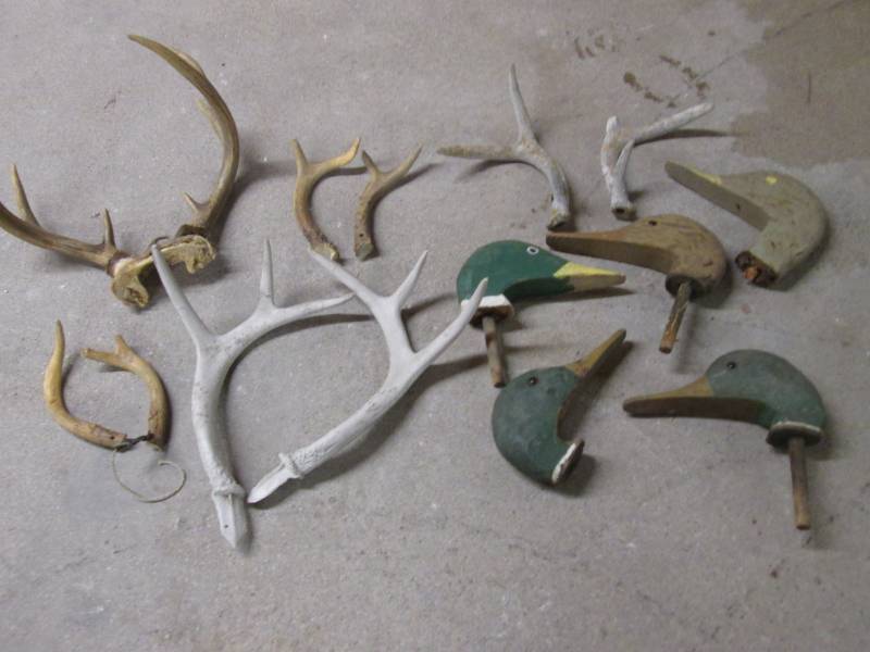 lot 55 image: Assortment of Deer Antlers and Wood...