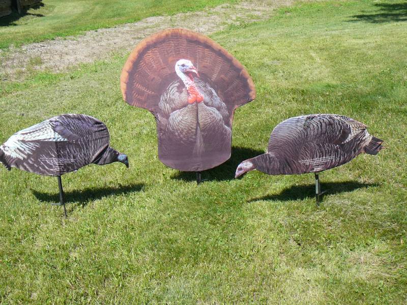 lot 60 image: Montana Turkey Decoys