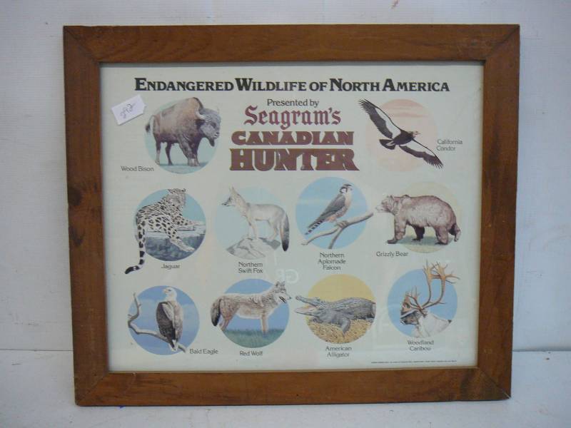 lot 292 image: Framed Endangered Wildlife Of North America