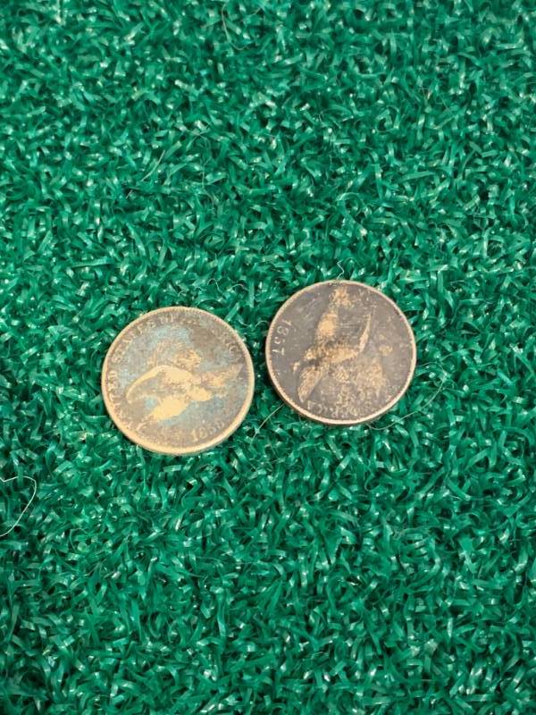 Lot of 2 Flying Eagle Cents