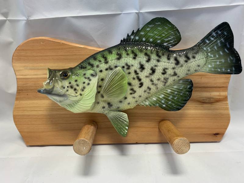 lot 84 image: New Crappie Coat Rack $75 Online & Sold Out