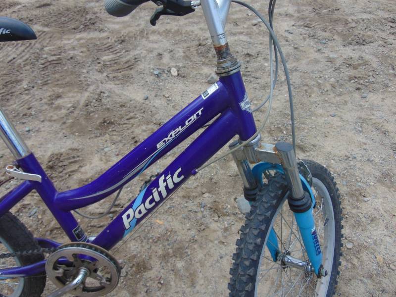 lot 117 image: Pacific Kids Bike