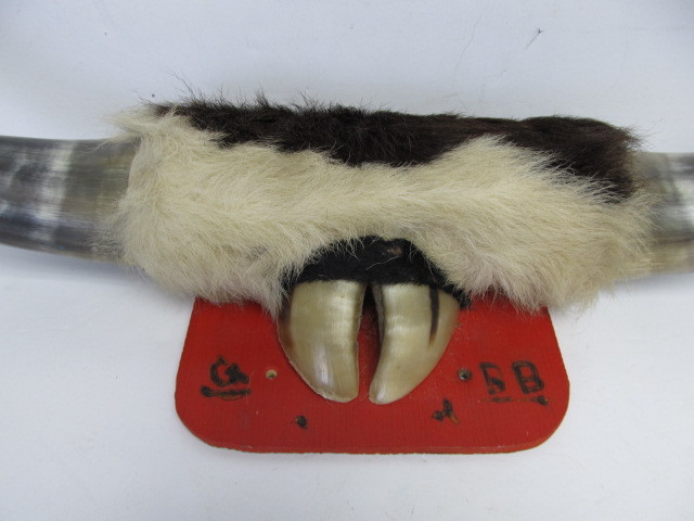 lot 162 image: Western Style Mounted Long Horn Wall Hanging Display