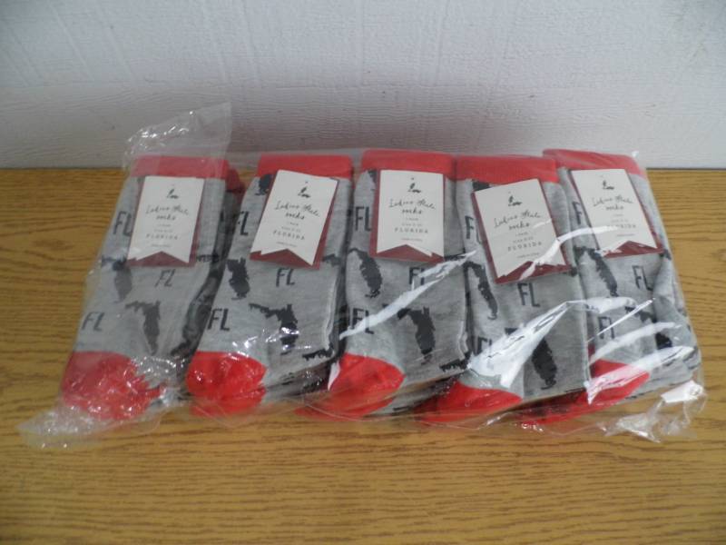 Lot of 30 State Socks - Florida