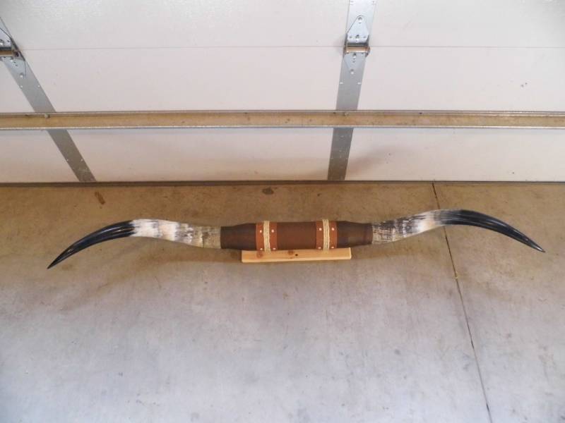 Horns