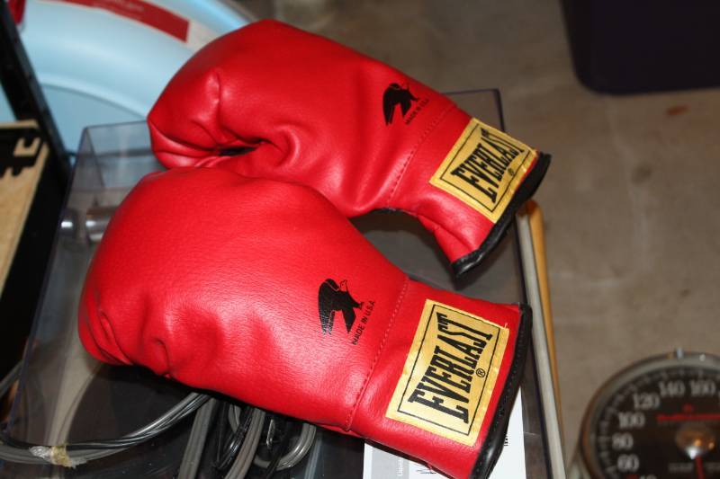 lot 31 image: Everlast Boxing Gloves