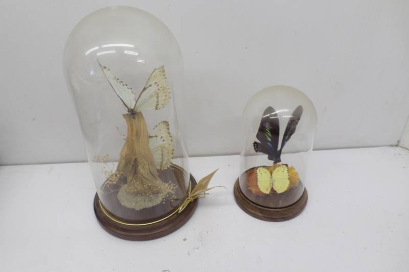 2 Butterfly Decorations