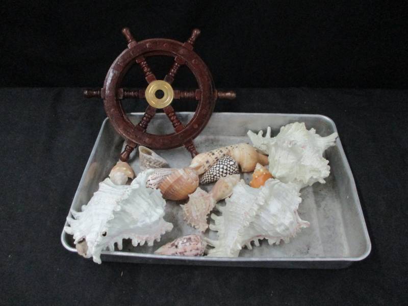Shells, Sand and Ship Wheel Neat Dcor