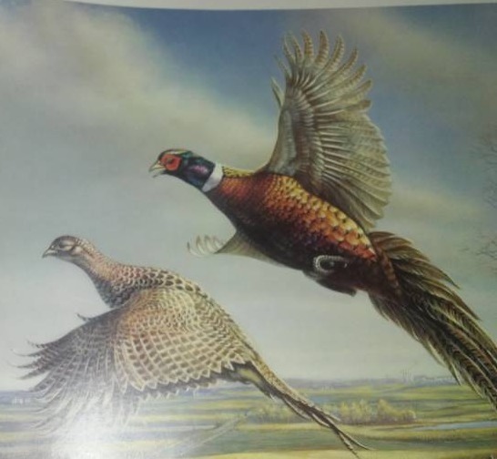 lot 53 image: 2 Nature prints, limited edition.