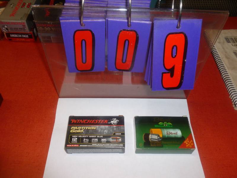 12 gauge Sabot Slugs