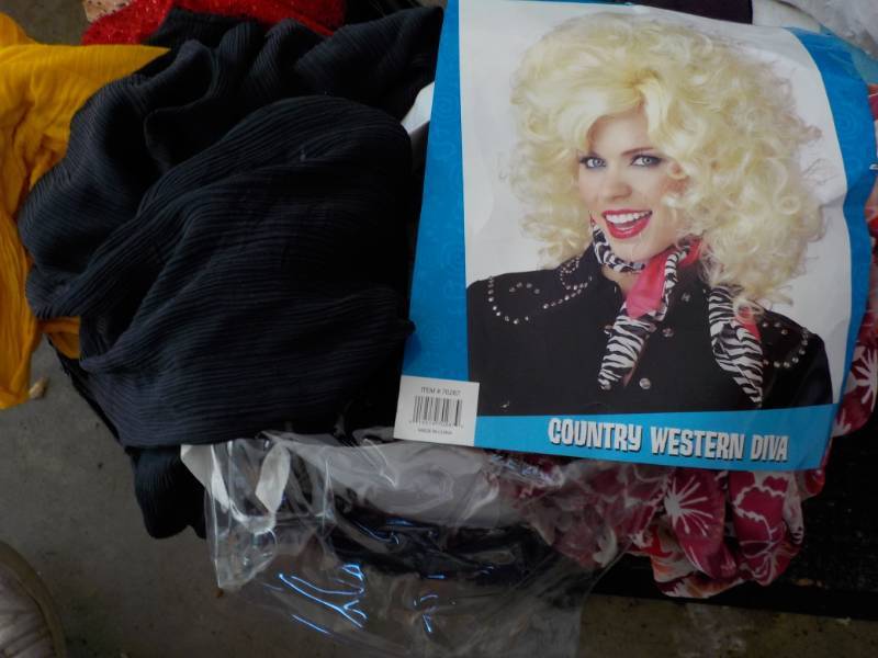 Costume Lot...