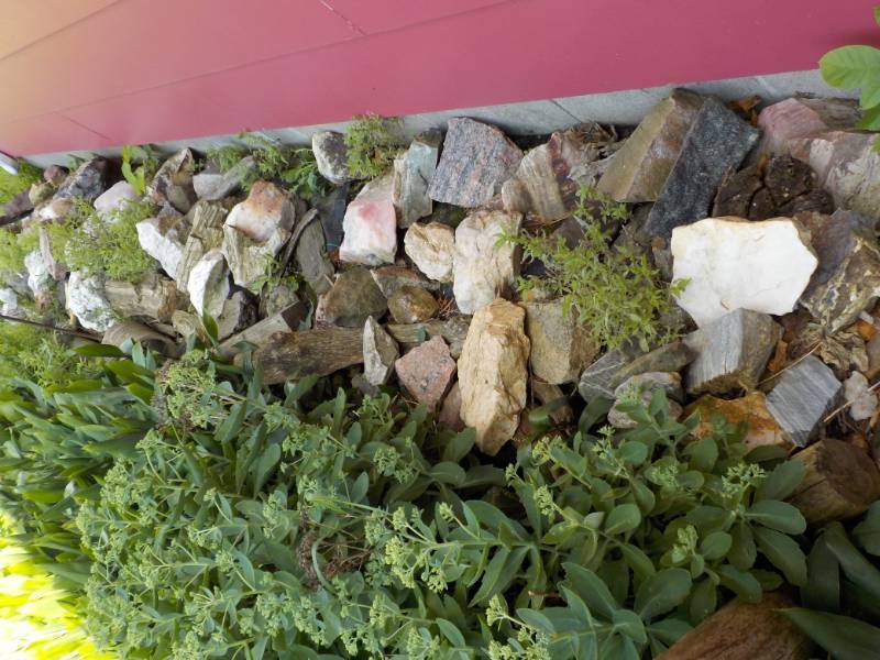 Decorative Rocks (on backside of ga...