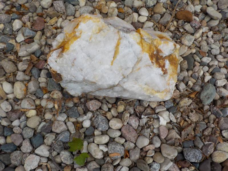 Rocks (on back side of house) as p...