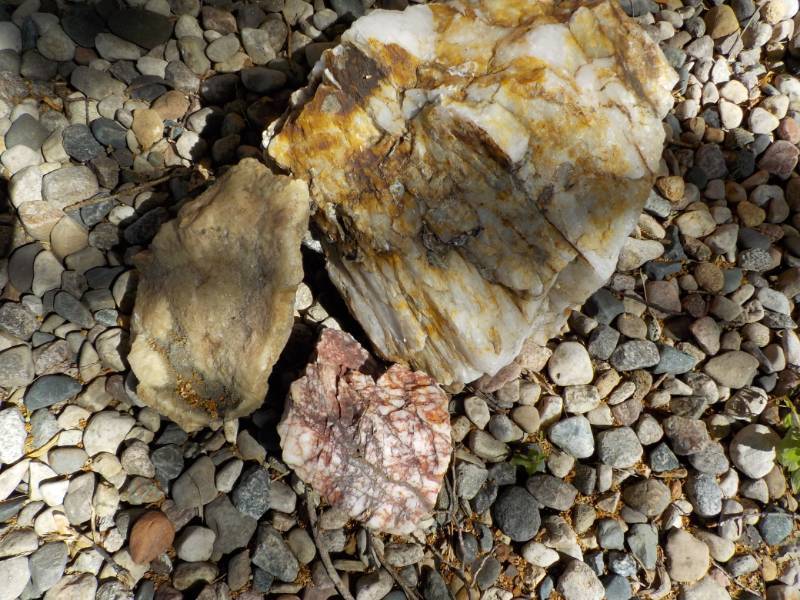 Decorative Rocks (on side of house)...