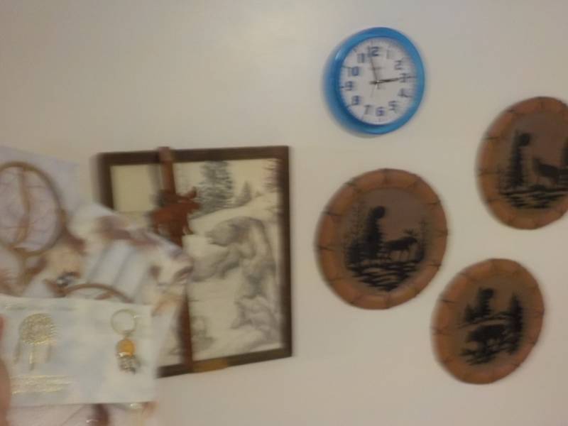 Wildlife Wall Art and Dream Catcher...