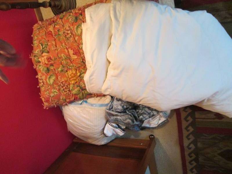 Homemade Comforter, Feathered Comfo...