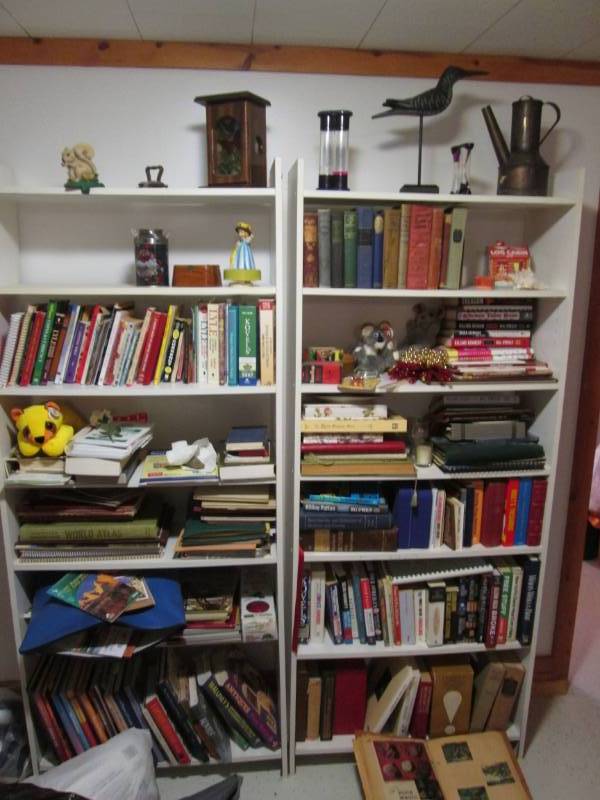 2 Bookcases with all the Books bri...
