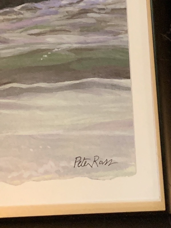 lot 31 image: Local Artist Peter Ross Painting