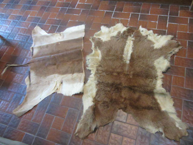 lot 67 image: Tanned Hides