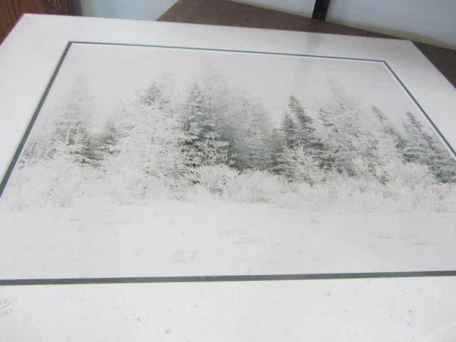 lot 71 image: Winter Visit Photo