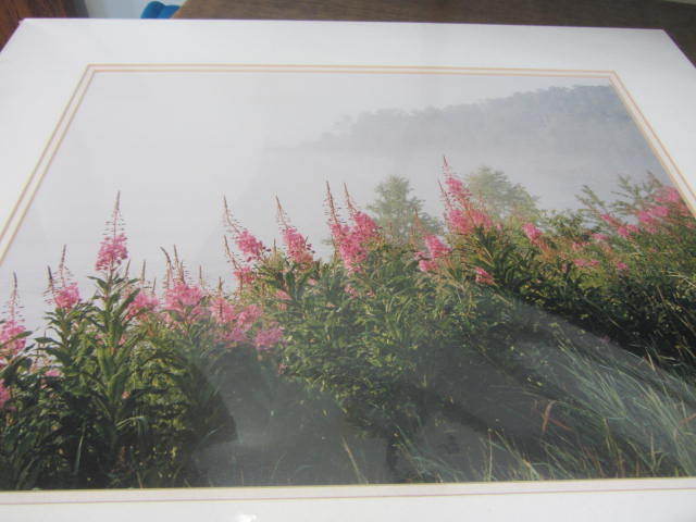 lot 72 image: Fireweed Photo
