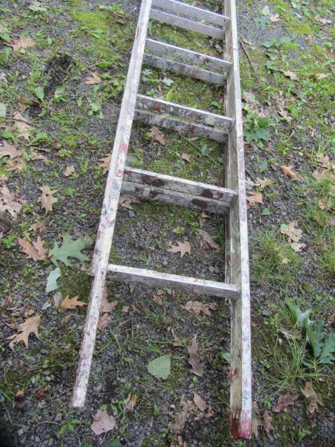 lot 25 image: Aluminum Extension Ladder