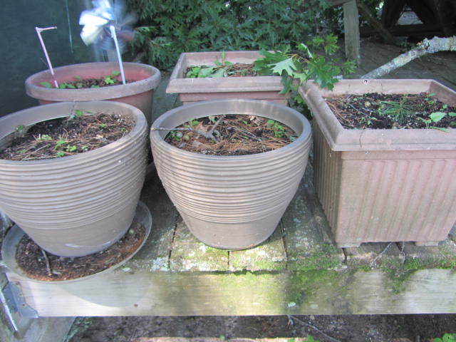 lot 187 image: Planters