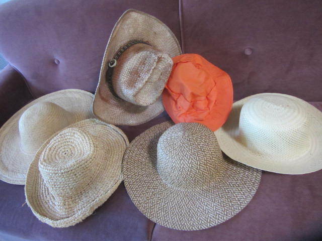 lot 193 image: Summer Hats