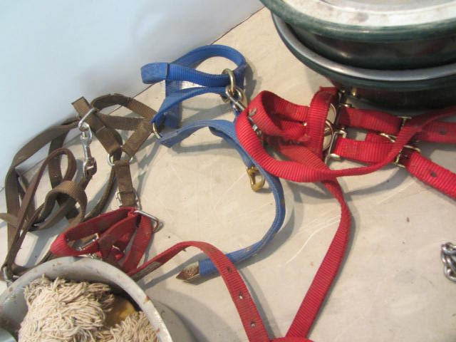 lot 96 image: Pet Care