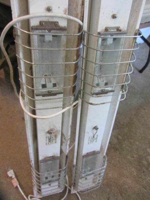 lot 177 image: Two Halogen Lights