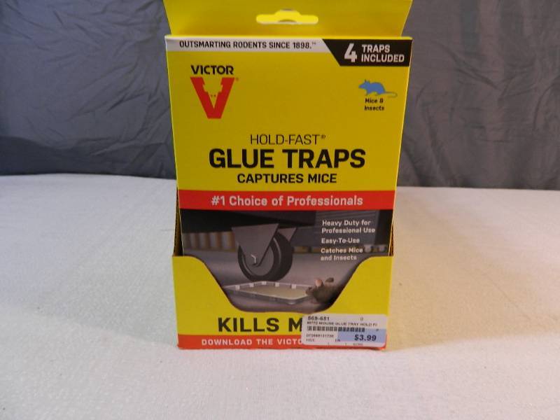 lot 76 image: New Case of Glue Traps