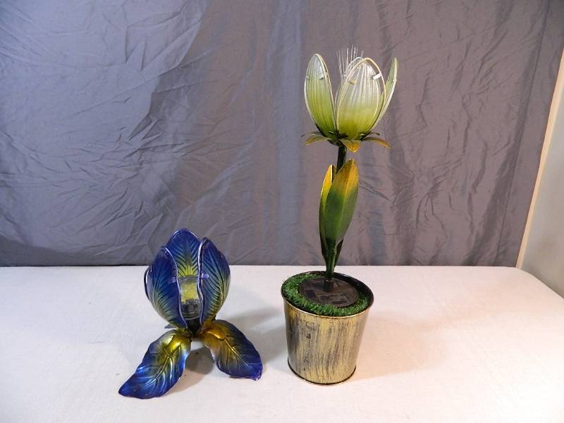 lot 181 image: 2 New Solar Flowers