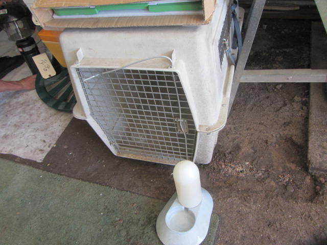 Kennel