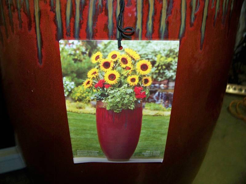 lot 31 image: Ceramic, Planter  Planting Pot - NEW  NEVER USED