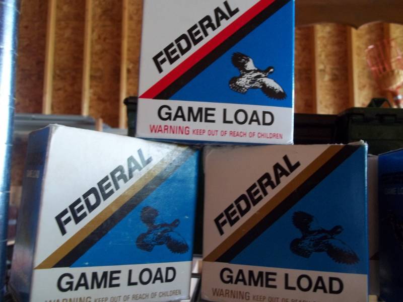 lot 181 image: 12 Gauge Shells and More