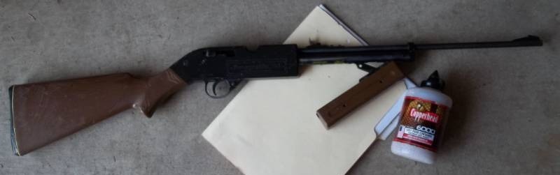 lot 224 image: BB Rifle
