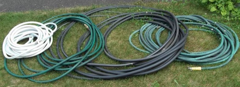 lot 317 image: Garden Hose