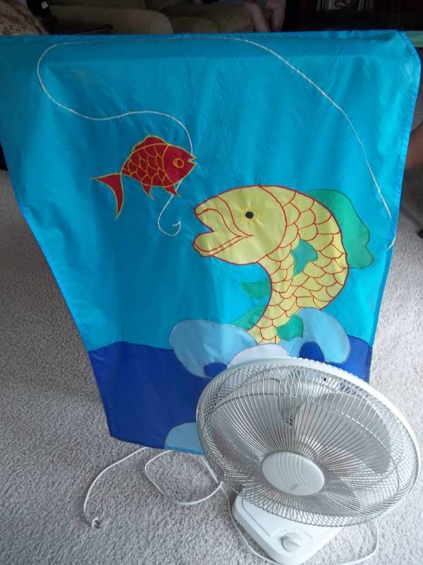 lot 344 image: Fan and Flag