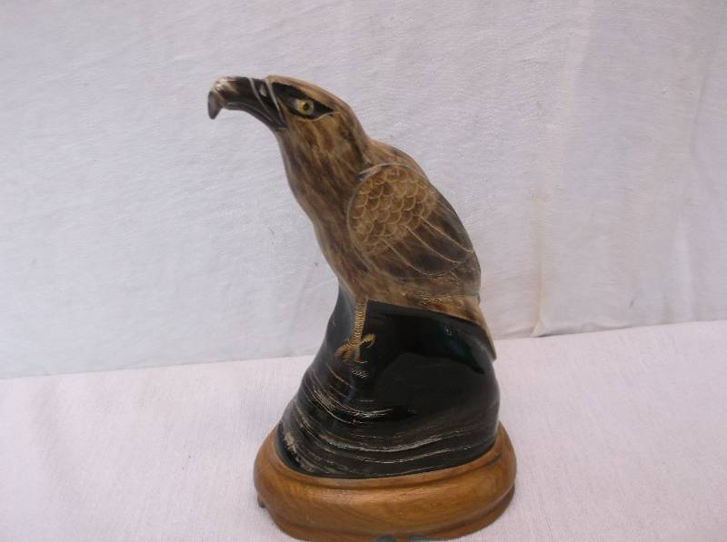 Buffalo Horn