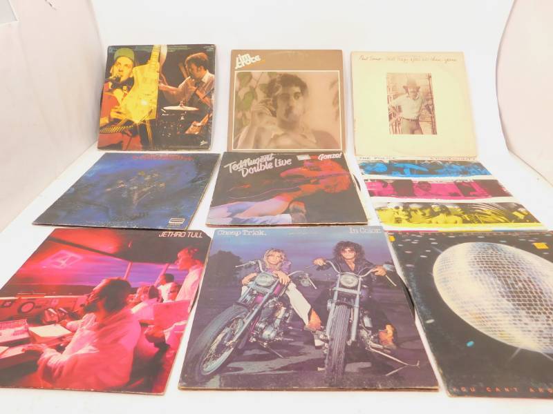 Lot of Rock & Roll Albums