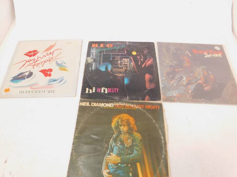 Lot of Rock & Roll Albums