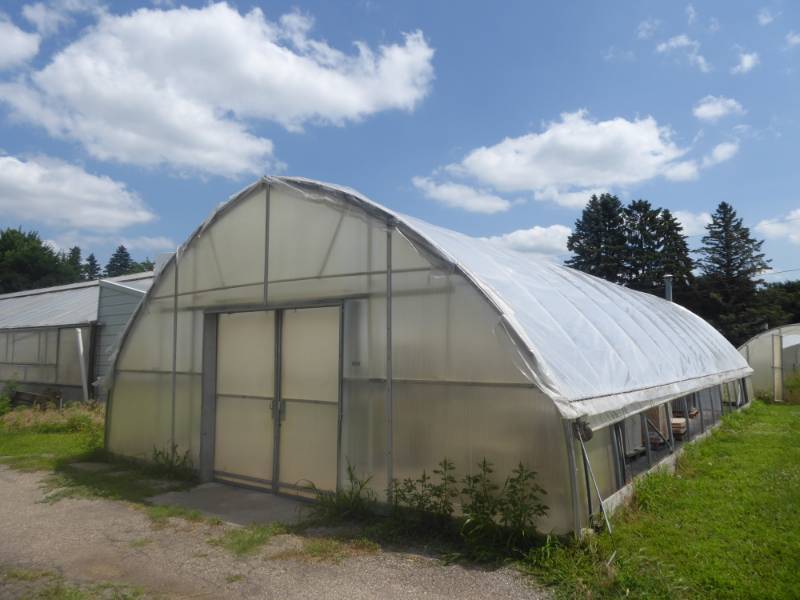 lot 14 image: 32 x 48 Gothic Steel Frame Hoop Greenhouse